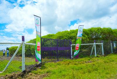 Residential Land in Naivasha