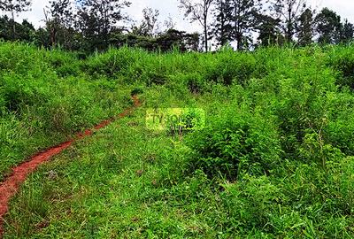 0.64 ac Residential Land in Thindigua