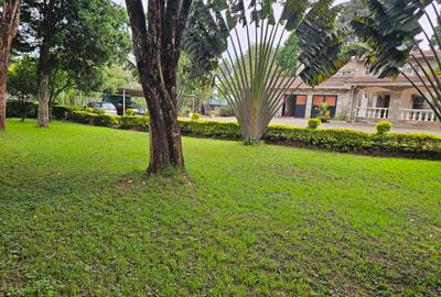 4 Bed House with En Suite at Tigoni - 3