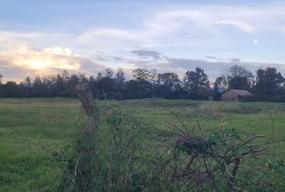 0.125 ac Land at Kiganjo - 4