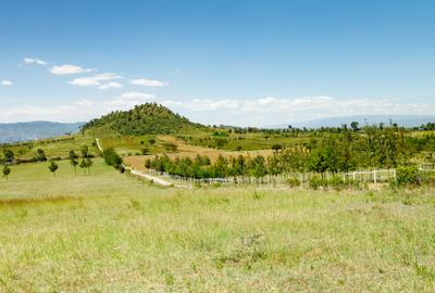 0.125 ac Residential Land in Naivasha