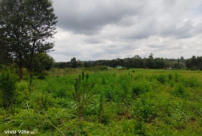 1 ac Land at Kerarapon Drive - 2