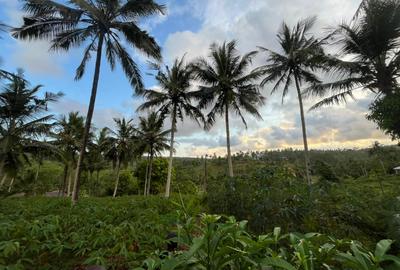 0.75 ac Land at Ls139 - 4