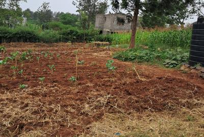 Residential Land in Malindi