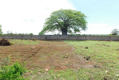 10,000 ft² Land at Vipingo