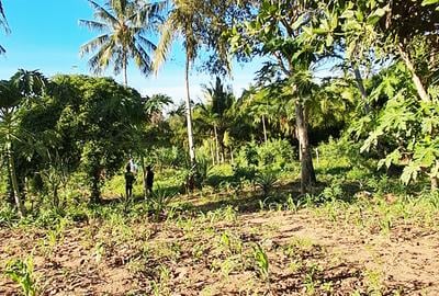 Land at Kwale - 3