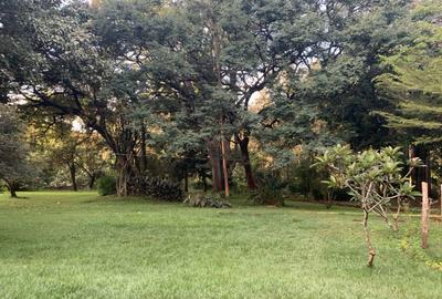 Residential Land at Kitisuru