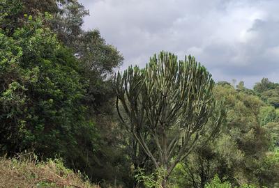 2,000 m² Land in Karen Hardy