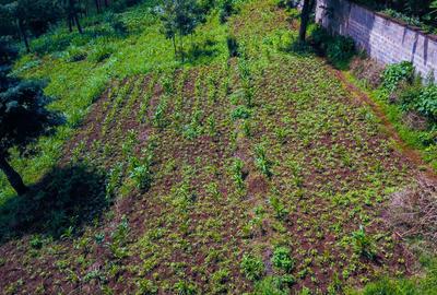 0.5 ac Land at Kinanda Close - 3