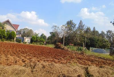0.25 ac Residential Land at Mhasibu