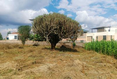 1,000 m² Residential Land at Riu-Nderi - 2