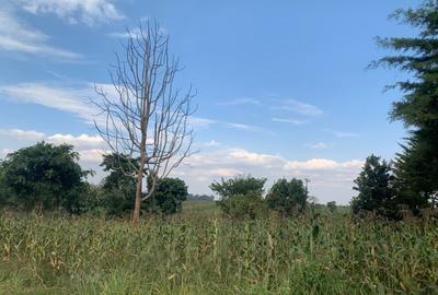 0.5 ac Land at Kiganjo Junction