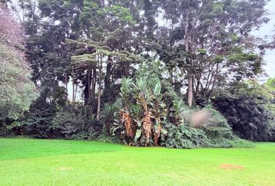 4.1 ac Land in Rosslyn