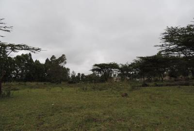2 ac Land at Nkoroi - 2