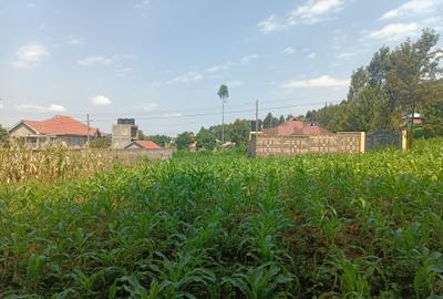 500 m² Residential Land at Gikambura