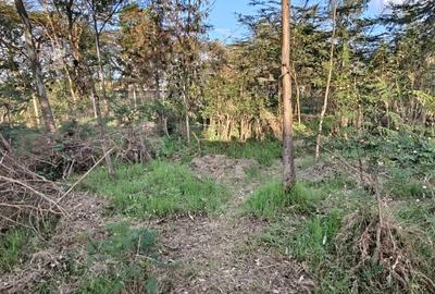 0.57 ac Land in Karen - 2