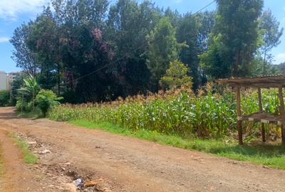 2,832.8 ac Land in Thindigua - 2