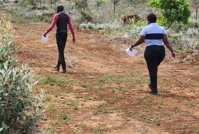 5,000 m² Land at Nachu Sgr - 2