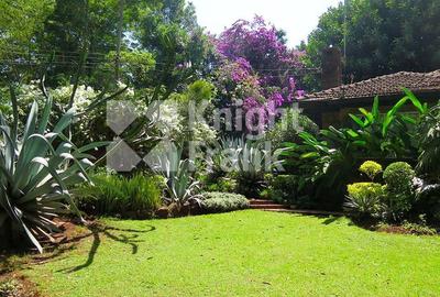 0.8 ac Land at Chalbi Drive - 2