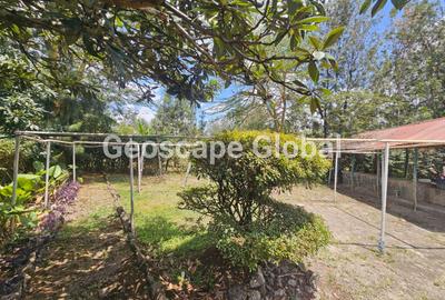 Commercial Property with Parking in Karen - 2