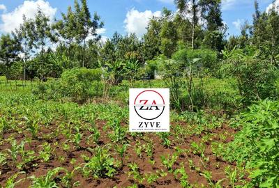 1.5 ac Land at Kenol - 2