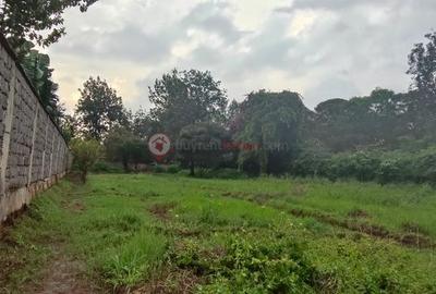 Land at Ndege Road