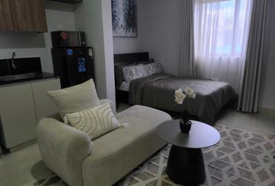 Studio Apartment with En Suite at Naivasha Road Nairobi - 4