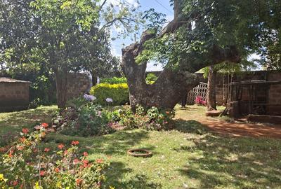 0.25 ac Commercial Land in Ruaka - 4