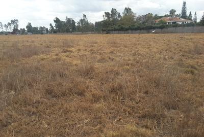 0.5 m² Residential Land in Karen