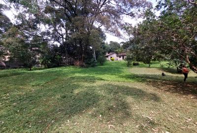 Residential Land at Lavinhton Area - 3