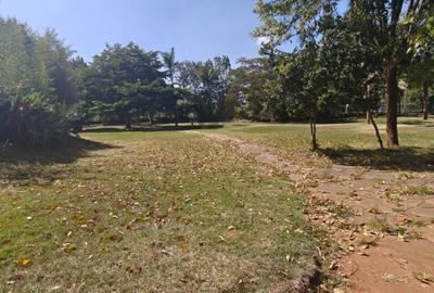 20 ac Land in Karen - 3