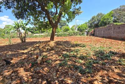 Residential Land at Runda Road - 3