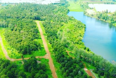 Land at Thika Groove Chania