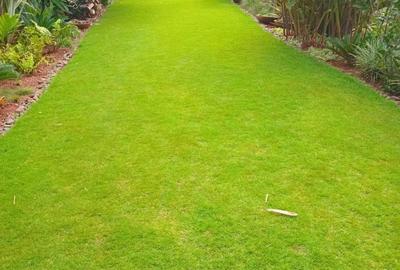 Serviced 2 Bed Apartment with En Suite in Kitisuru - 2