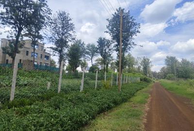 500 m² Residential Land in Tatu City