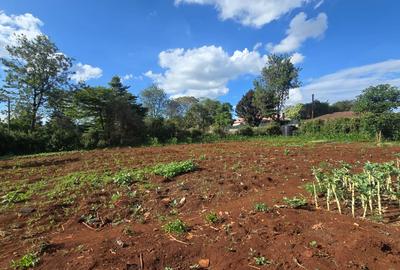 1.2 ac Land in Runda - 3