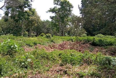 2 ac Land at Kyuna