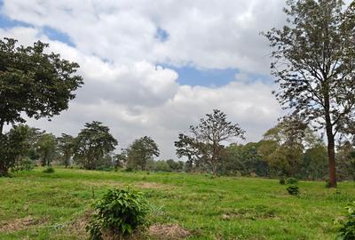 0.25 ac Commercial Land in Kiambu Road