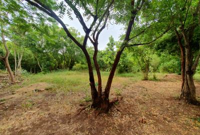 1,000 m² Land in Diani - 4