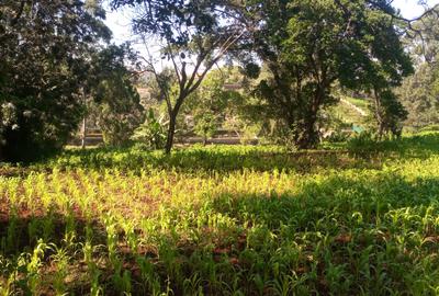 Land in Kitisuru