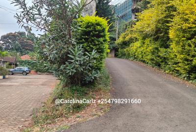 Commercial Land at Peponi Road - 2