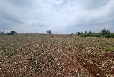 3,200 ft² Land in Kiambu Town