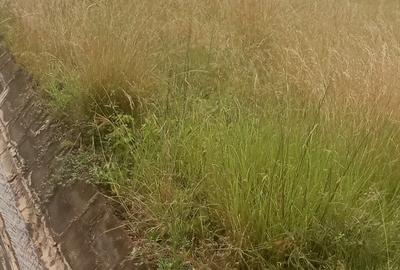 Land in Karen - 3