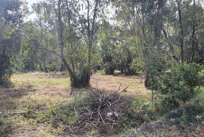 Residential Land in Karen - 3