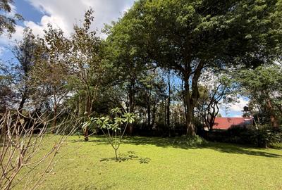 Land at Ridgeways Mall - 3