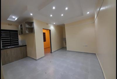 Bedsitter at Rabango - 4