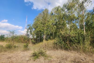 1 ac Commercial Land at Kerarapon - 2