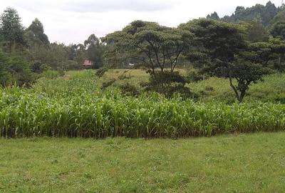 1,000 m² Residential Land in Ngong