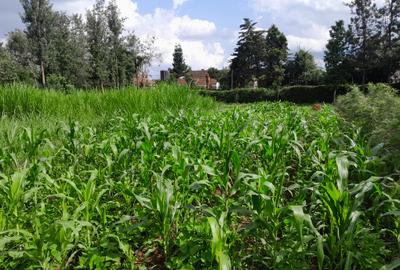 Residential Land in Kiambu Road