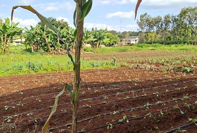 0.2 ha Residential Land at Three Dee Lane - 3